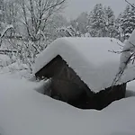 Jausenstation Vogelhutte 因斯布鲁克