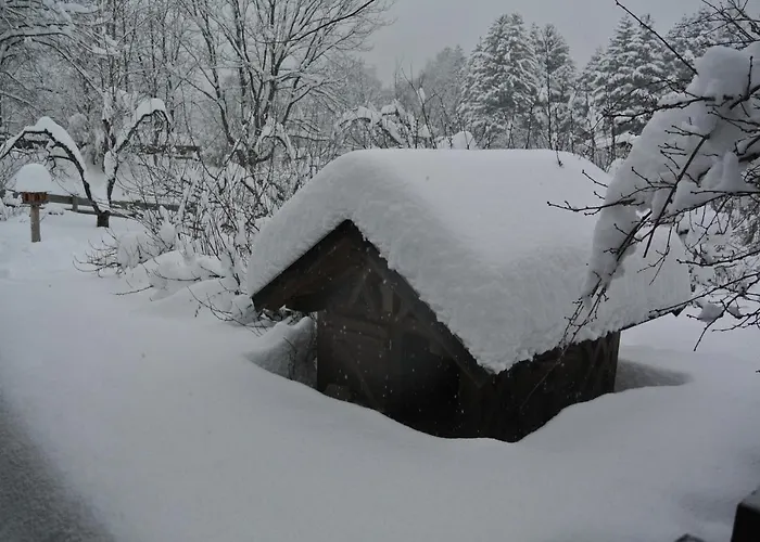 Jausenstation Vogelhutte Инсбрук